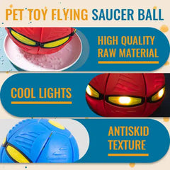 Pet Saucer Toy