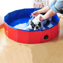 Outdoor Pet Pool