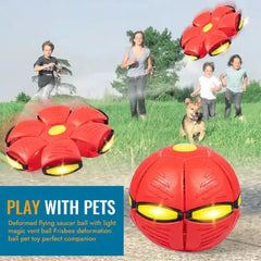 Pet Saucer Toy